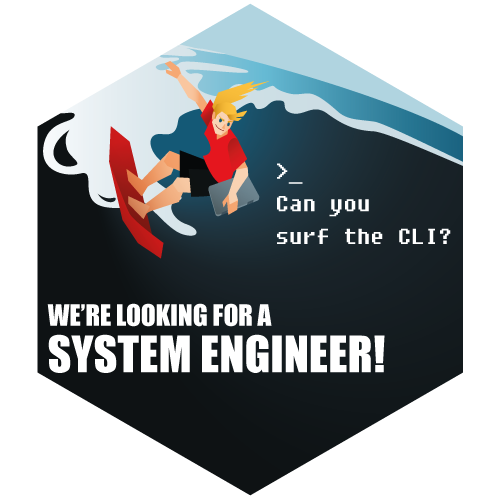 System Engineer